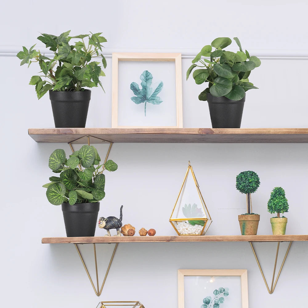 Mini Faux Eucalyptus Plant in Black Pot