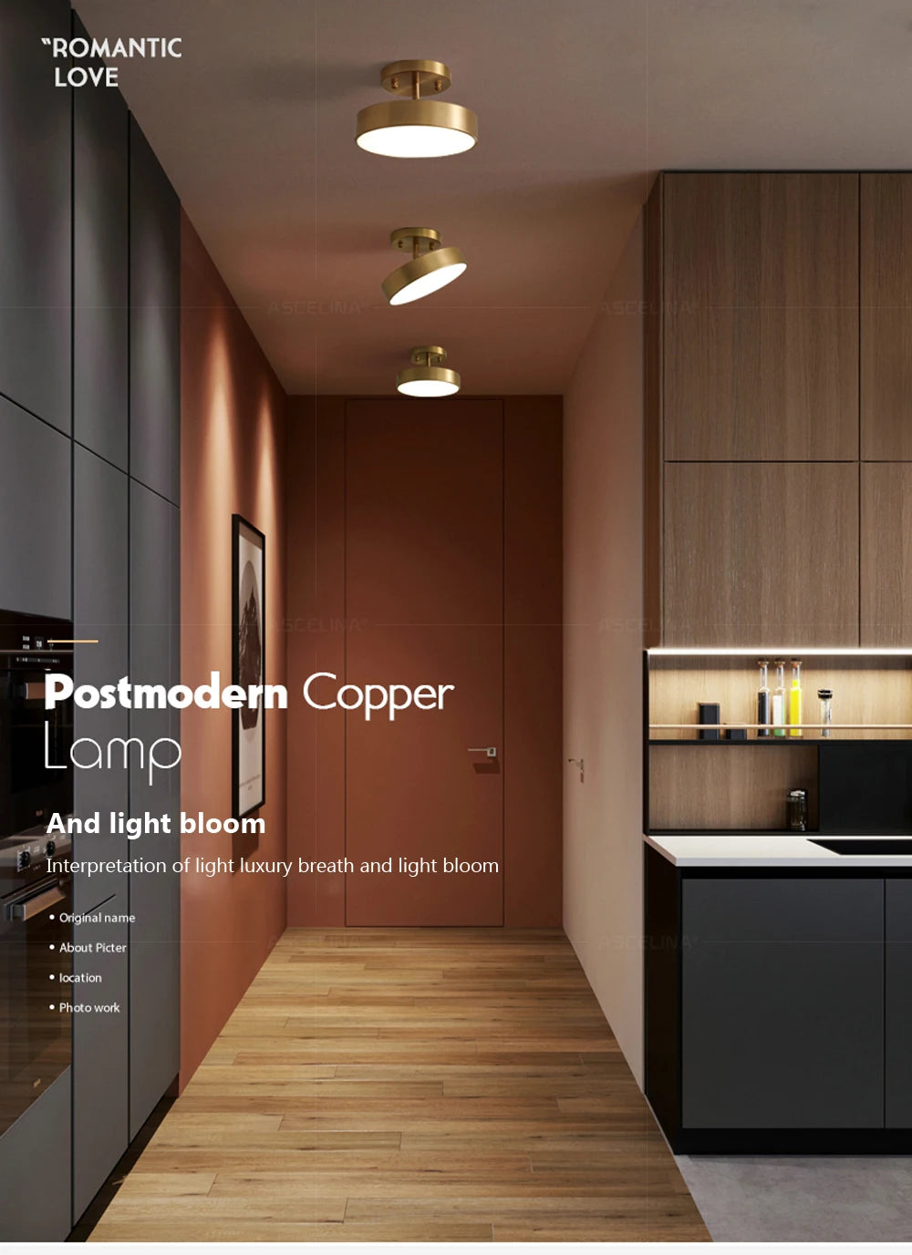 Modern LED Ceiling Light – Nordic Copper Round Lamp