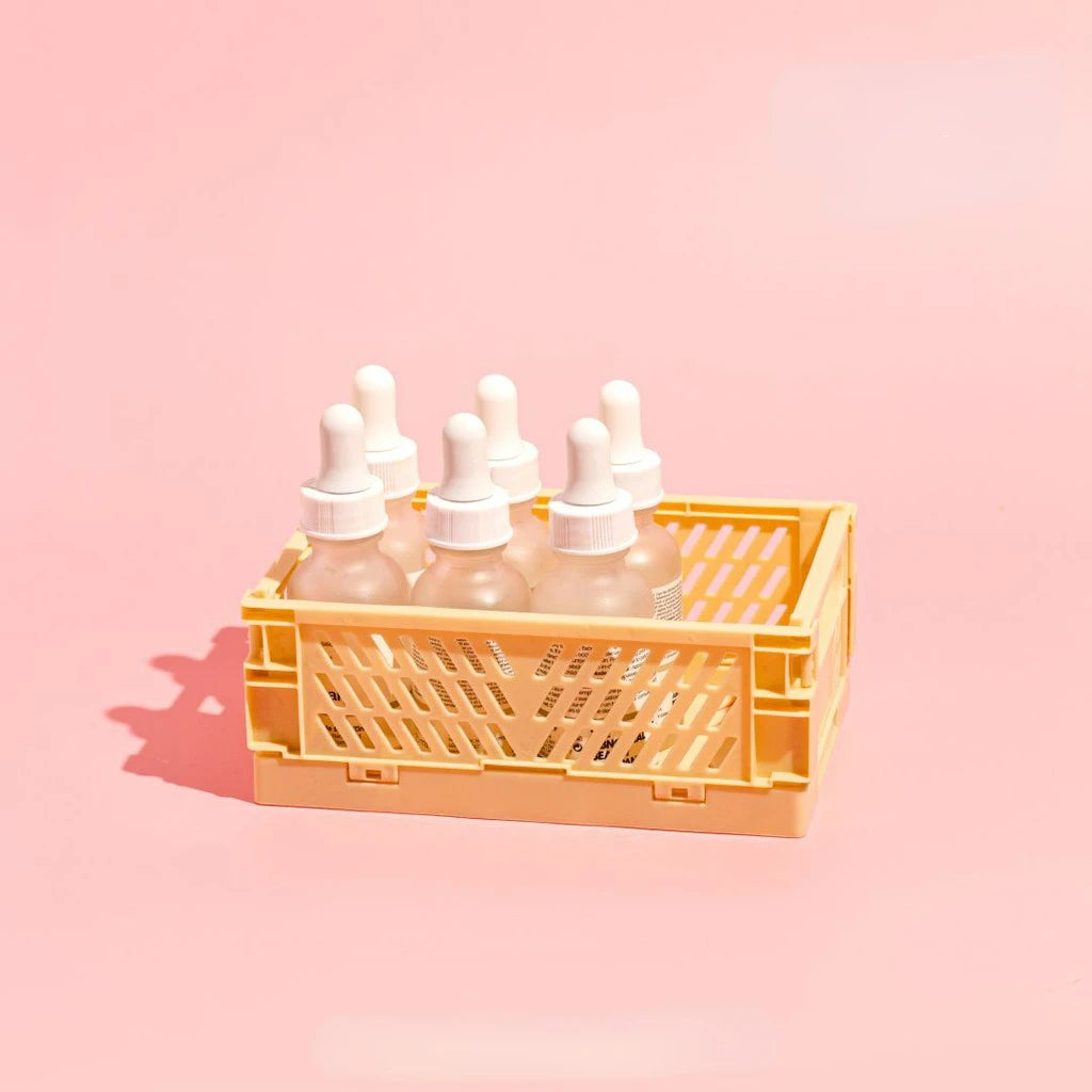 Plastic Foldable Storage Crate Box Organizer