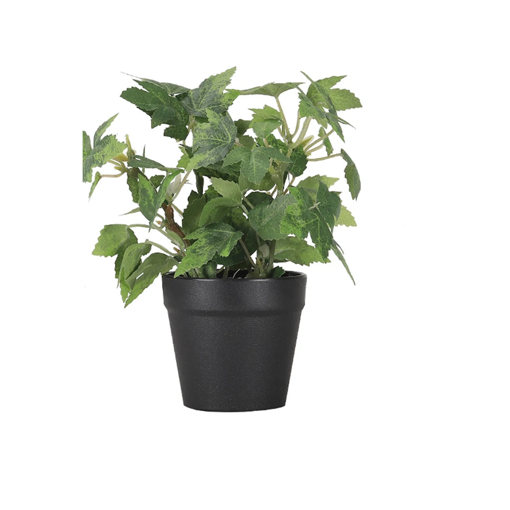 Mini Faux Eucalyptus Plant in Black Pot