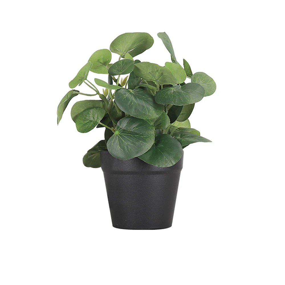 Mini Faux Eucalyptus Plant in Black Pot