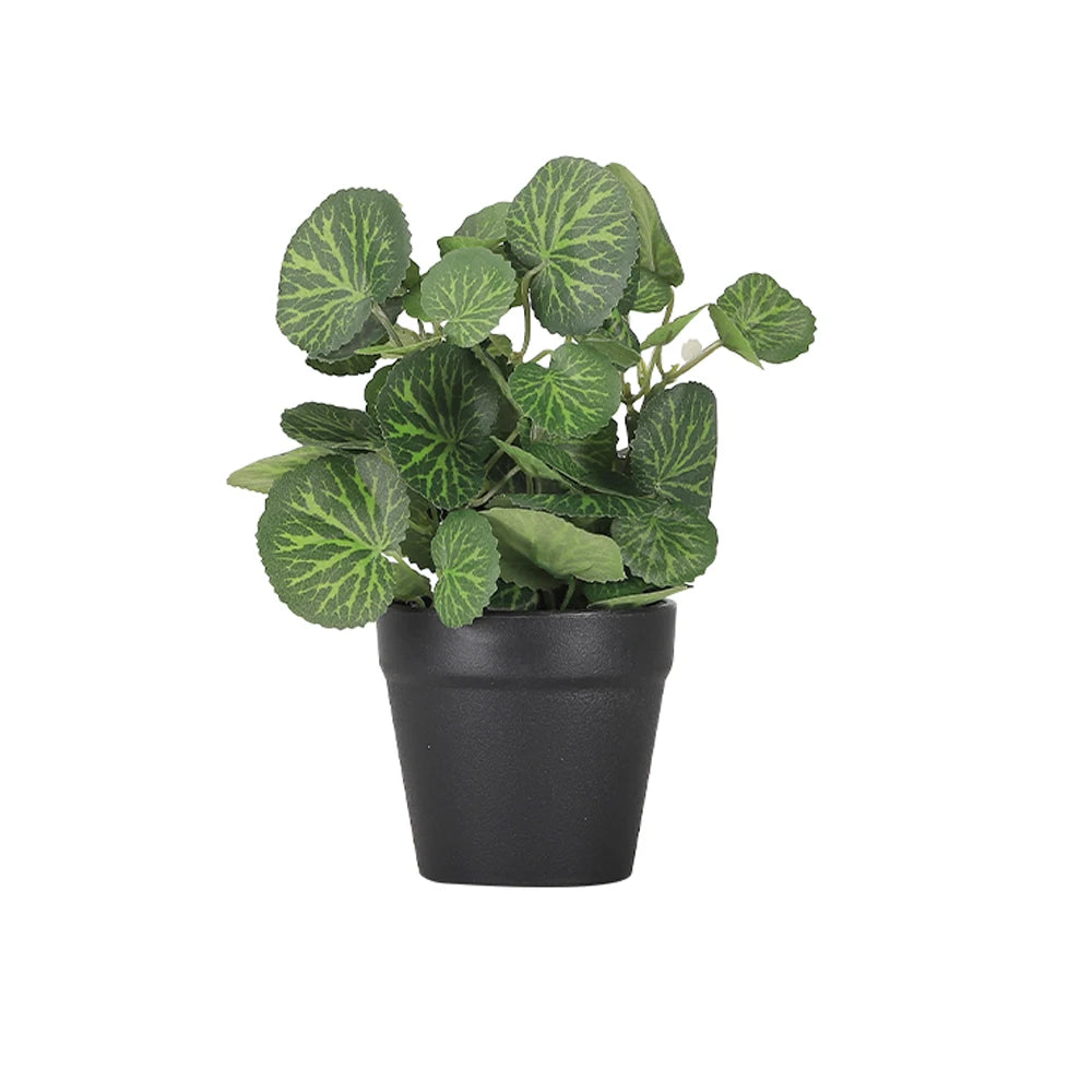 Mini Faux Eucalyptus Plant in Black Pot